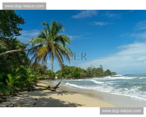 冰与火之歌：哥斯达黎加与加拿大的中北美霸权之战